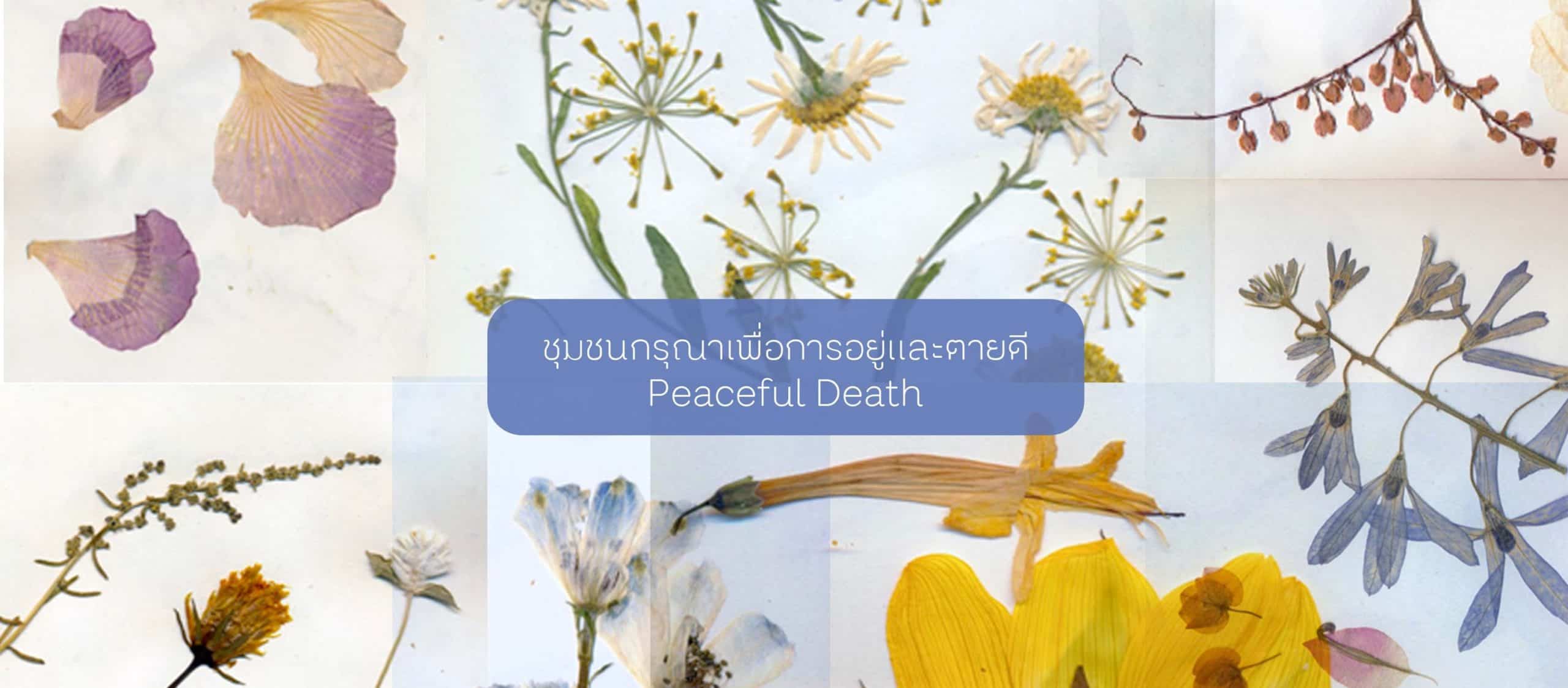Peaceful Death